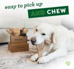 Benebone Medium 4-Pack Dog Chew Toys for Aggressive Chewers, Made in USA, 60lbs and Under - Image 3