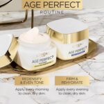 L'Oreal Paris Age Perfect Collagen Expert Anti-Aging, Anti-Wrinkle Night Moisturizer 2.5 oz - Image 9