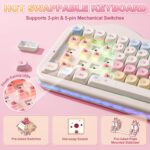YUNZII C75 Wireless Mechanical Keyboard,75% Layout, Hot-Swappable NKRO,BT5.0/2.4G/USB-C Mode,Dye-Sub PBT MOA Keycaps,RGB Gasket Mount,Cute Cake Design for Mac/Win/Gaming (Beige, Candy Switch) - Image 6