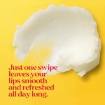 Burt's Bees Lip Balm - Pink Grapefruit, Mango, Coconut & Pear, and Pomegranate Pack, Lip Moisturizer With Beeswax, Tint-Free, Natural Origin Conditioning Treatment, 4 Tubes, 0.15 oz. - Image 4