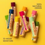 Burt's Bees Lip Balm - Pink Grapefruit, Mango, Coconut & Pear, and Pomegranate Pack, Lip Moisturizer With Beeswax, Tint-Free, Natural Origin Conditioning Treatment, 4 Tubes, 0.15 oz. - Image 10