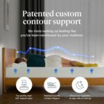 ZINUS 6 Inch Twin Green Tea Memory Foam Mattress [New Version], Fiberglass free, Medium Firm Feel, Zoned Pressure Relief, Certified Safe Foams & Fabric, Mattress in A Box - Image 5