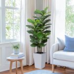 5Ft Fiddle Leaf Fig Tree with White Tall Planter - Fake Fig Silk Plants with 62 Large Fiddle Leaves,Artificial Trees for Home Decor Indoor Outdoor Office - Image 2