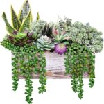 14 Pcs Assorted Artificial Succulents Fake Plants in Rectangular Wooden Pots Artificial Potted Succulents Plants Arrangement for Table Centerpiece Windowsill Shelf Mantel Tropical Greenery Decor - Image 2