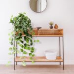 CADNLY Realistic Artificial Plants Indoor in Pot – Green Faux Hanging Plants Artificial Decor Fake Pothos Potted Home Decor Shelves Tabletop Office 1 Pack - Image 9