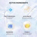 Dark Spot Remover for Face: Dark Spot Corrector for Sun Spots, Age Spots & Uneven Skin Tone - Vitamin C, Alpha Arbutin & Niacinamide for Even Skin Tone (1 Fl Oz) - Image 5