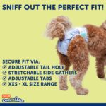 Hartz Disposable Dog Diapers, Size S 36 count, Comfortable & Secure Fit, Easy to Put On - Image 7