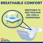 Hartz Disposable Dog Diapers, Size S 36 count, Comfortable & Secure Fit, Easy to Put On - Image 9