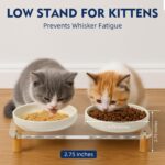 Elevated Cat Bowls for Indoor Cats – Modern Acrylic Cat Food Table with 2 Ceramic Dishes, Adjustable Height (4.05"/2.87"), Set of 1 - Image 4