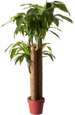 Nearly Natural 4ft. Corn Stalk Dracaena Silk Plant (Real Touch) - Image 3