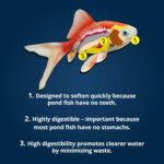 TetraPond Pond Sticks, Pond Fish Food, for Goldfish and Koi, 1.72 Pounds - Image 9