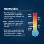 TetraPond Pond Sticks, Pond Fish Food, for Goldfish and Koi, 1.72 Pounds - Image 10