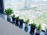 3 Pack Fake Plants Mini Artificial Greenery Potted Plants for Home Decor Indoor Office Table Room Farmhouse Bathroom Decor - Image 4