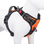 PHOEPET No Pull Dog Harness Medium Reflective Front Clip Vest with Handle,Adjustable 2 Metal Rings 3 Buckles,[Easy to Put on & Take Off](M, Orange) - Image 2